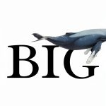 Portfolio Business Structural Adjustment Organizational-0